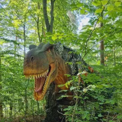 Dino Parc Râșnov - Râșnov
