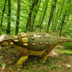 Dino Parc Râșnov - Râșnov