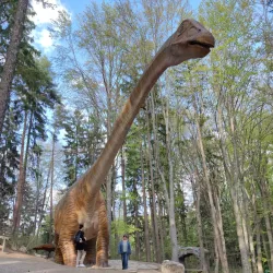 Dino Parc Râșnov - Râșnov