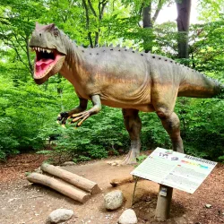 Dino Parc Râșnov - Râșnov