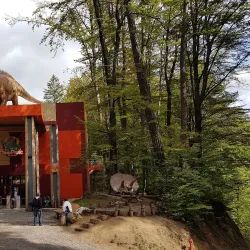 Râșnov Museum - Râșnov