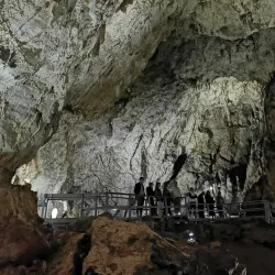 Valea Cetății Nature Reserve - Râșnov