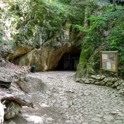 Valea Cetății Nature Reserve - Râșnov