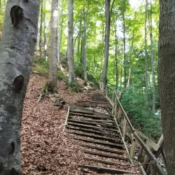 Valea Cetății Nature Reserve - Râșnov