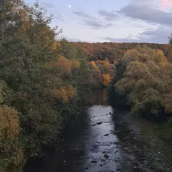 Bistrița River Walk - Roman