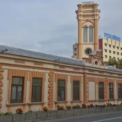 Neamț County Library - Roman