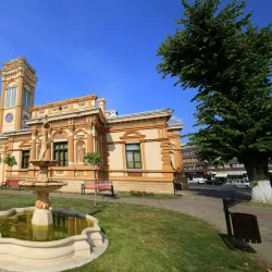 Neamț County Library - Roman
