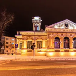 Neamț County Library - Roman