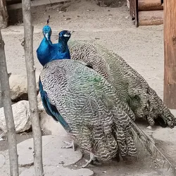 Roman City Park - Roman