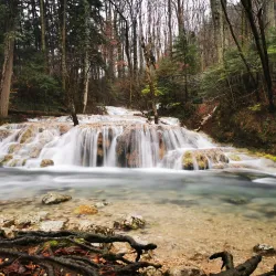 Natural Park Near Sannicolau Mare - Sannicolau Mare