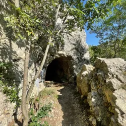 Natural Park Near Sannicolau Mare - Sannicolau Mare