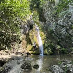 Natural Park Near Sannicolau Mare - Sannicolau Mare