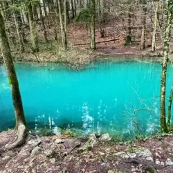 Natural Park Near Sannicolau Mare - Sannicolau Mare