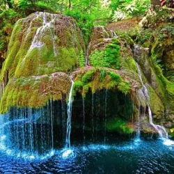 Natural Park Near Sannicolau Mare - Sannicolau Mare