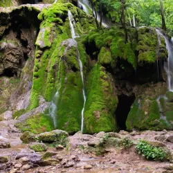 Natural Park Near Sannicolau Mare - Sannicolau Mare