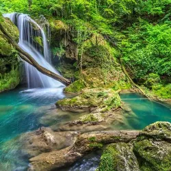 Natural Park Near Sannicolau Mare - Sannicolau Mare
