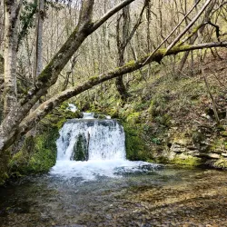 Natural Park Near Sannicolau Mare - Sannicolau Mare