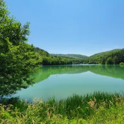 Natural Park Near Sannicolau Mare - Sannicolau Mare