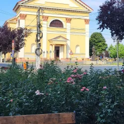 Sannicolau Mare Museum - Sannicolau Mare