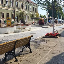 Sannicolau Mare Museum - Sannicolau Mare