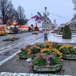 Sannicolau Mare Museum - Sannicolau Mare