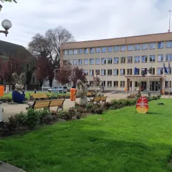 Sannicolau Mare Museum - Sannicolau Mare