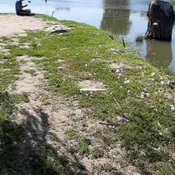 Sannicolau Mare Railway Station - Sannicolau Mare