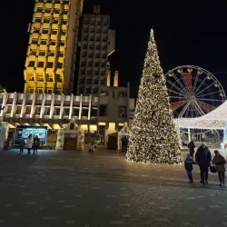 Administrative Palace - Satu Mare