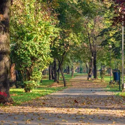 Garden of Rome (Grădina Romei) - Satu Mare