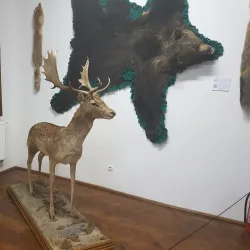 Károlyi Palace - Satu Mare