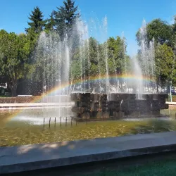 Liberty Square (Piața Libertății) - Satu Mare