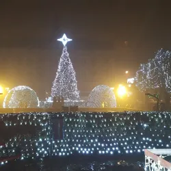 Liberty Square (Piața Libertății) - Satu Mare