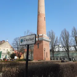 Liberty Square (Piața Libertății) - Satu Mare