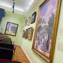 Satu Mare Art Museum - Satu Mare