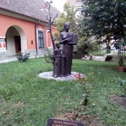 Satu Mare Art Museum - Satu Mare