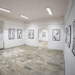 Satu Mare Art Museum - Satu Mare