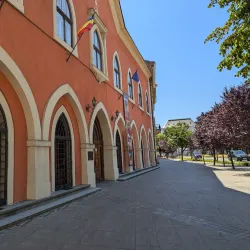 Satu Mare Art Museum - Satu Mare