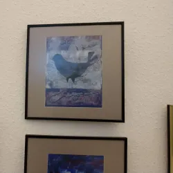 Satu Mare Art Museum - Satu Mare