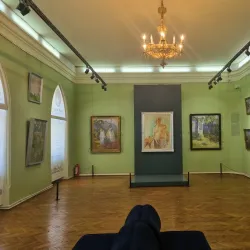 Satu Mare Art Museum - Satu Mare