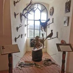 Satu Mare Fortress - Satu Mare