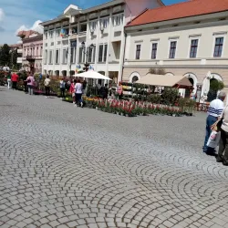 The Hungarian Cultural Center - Sfantu Gheorghe