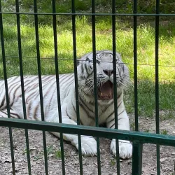 Sibiu Zoo - Sibiu