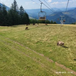 Maramureș Mountains Natural Park - Sighetu Marmatiei