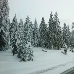 Maramureș Mountains Natural Park - Sighetu Marmatiei