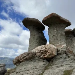 Bucegi Natural Park - Sinaia