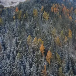 Sinaia Cable Car - Sinaia