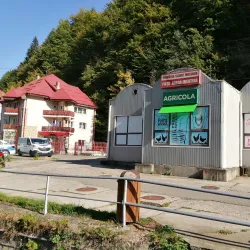 Local Artisan Market - Slanic Moldova