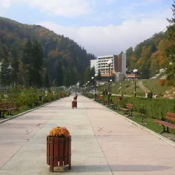 Slanic Moldova Central Park - Slanic Moldova