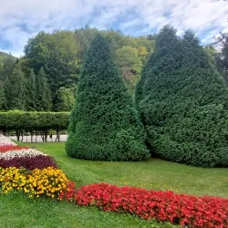 Slanic Moldova Central Park - Slanic Moldova