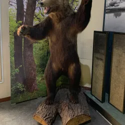 Slanic Moldova Ethnographic Museum - Slanic Moldova